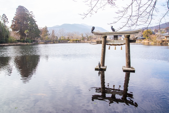 【1泊朝食付】湯布院観光を満喫！夕食は街中で遊びたい！一泊朝食付きプラン